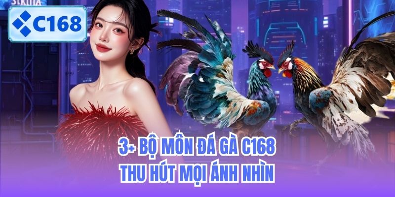 3-bo-mon-da-ga-c168-thu-hut-moi-anh-nhin-2 3+ bộ môn đá gà C168 thu hút mọi ánh nhìn