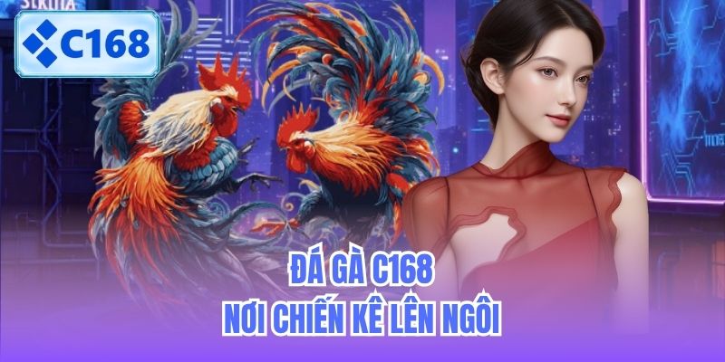 da-ga-c168-noi-chien-ke-len-ngoi-2 Đá gà C168 - Nơi chiến kê lên ngôi